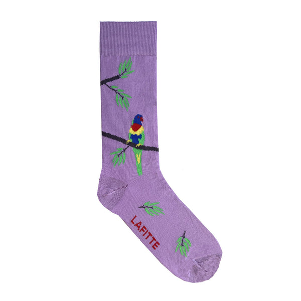 Rainbow Lorikeet Sock | Shop LAFITTE Socks Online Australia