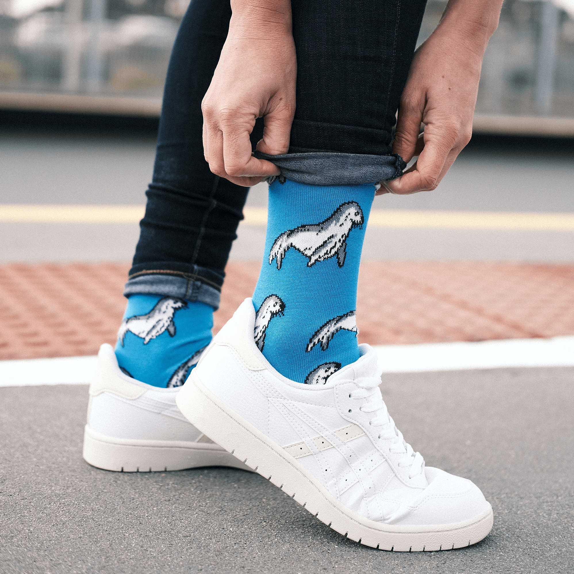 blue crew socks for men and women with sea lions aus